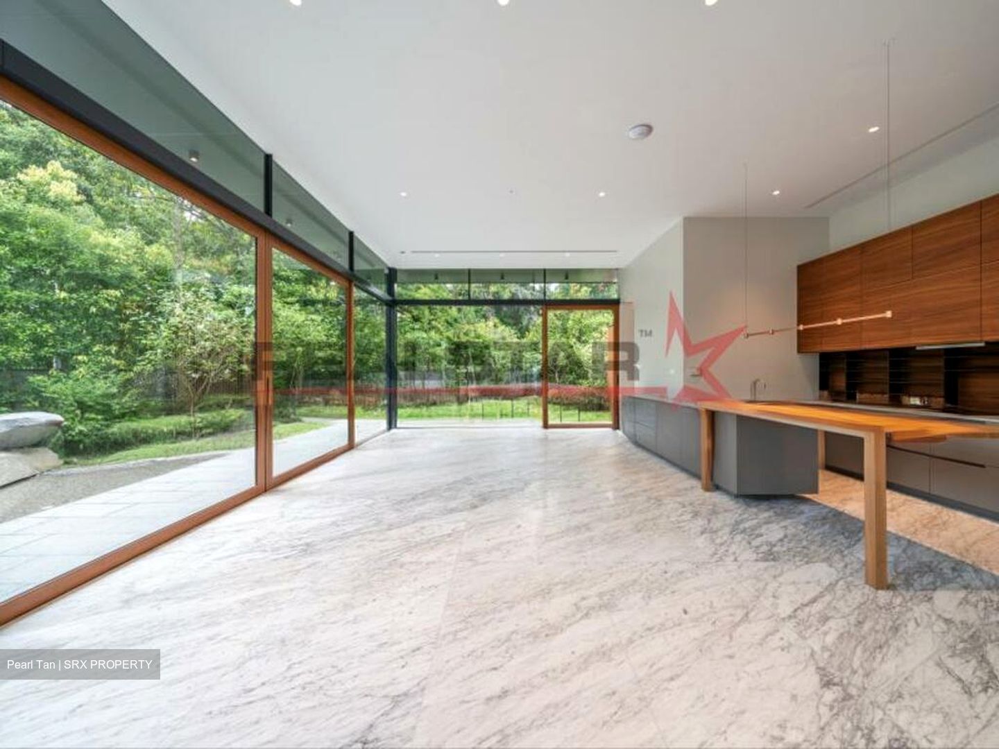 Nassim Road (D10), Detached #502464991